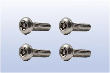 Torx Screw With Pin